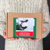 Needle Felting Kit Christmas Puddings - Make TWO decorations