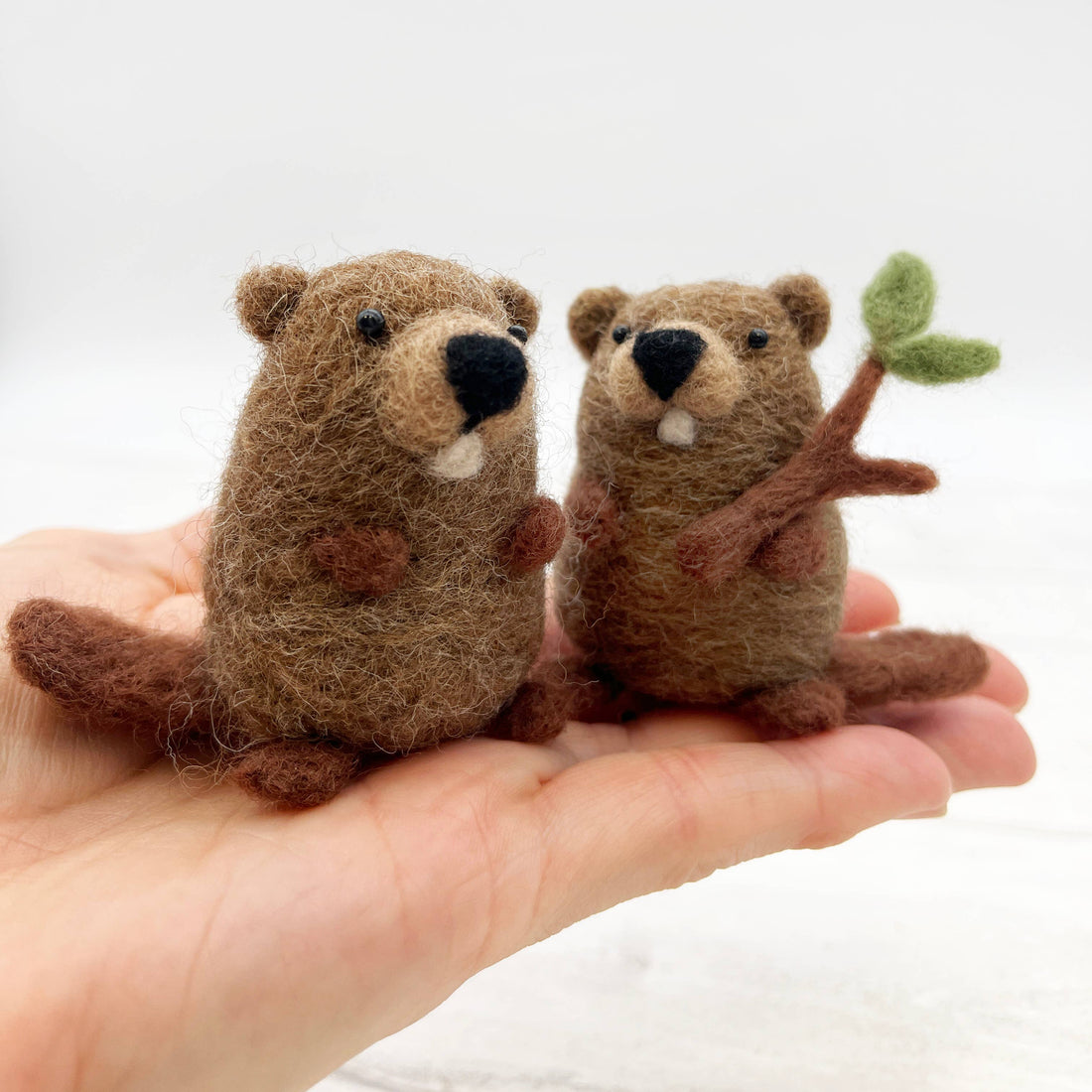Bergin & Bath Kits
